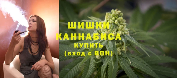 ПСИЛОЦИБИНОВЫЕ ГРИБЫ Карталы