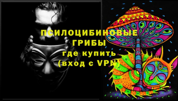 стаф Иннополис