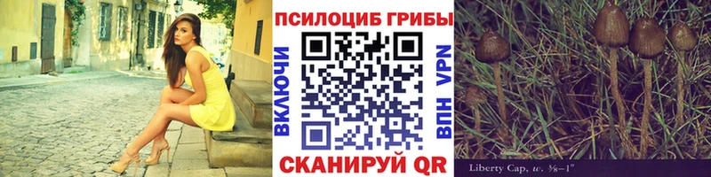 сколько стоит Касимов ОМГ ОМГ как войти Псилоцибиновые грибы прущие грибы