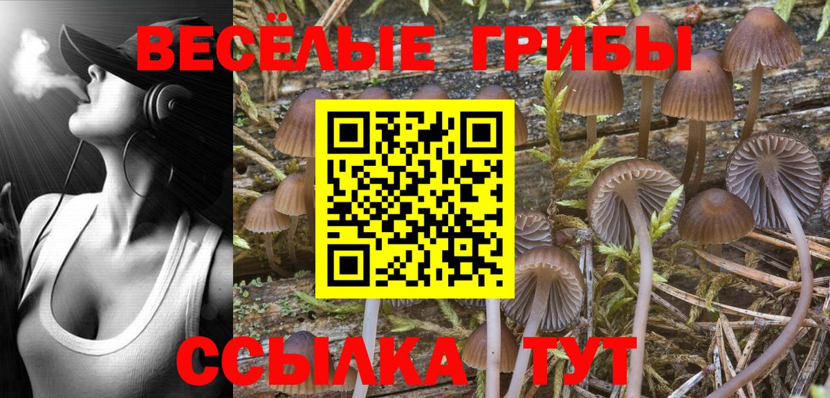Псилоцибиновые грибы GOLDEN TEACHER Касимов