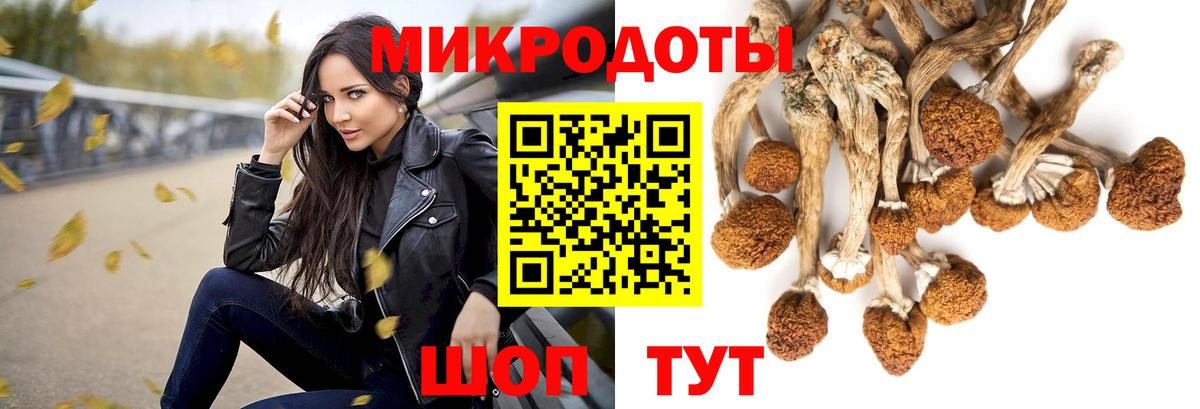 Галлюциногенные грибы прущие грибы  Вход с VPN  цена наркотик  Касимов 